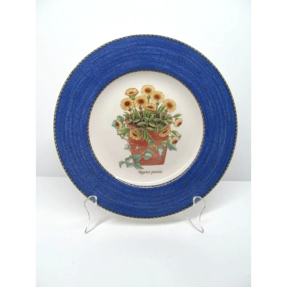 Wedgwood Queen's Ware England Sarah's Garden Tagetes patula Salad Plate 8